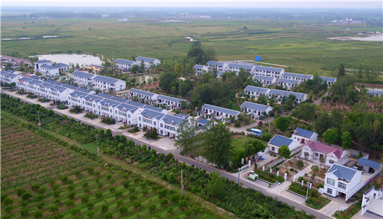 乡村遍开致富花 ——定远县吴圩镇决胜脱贫攻坚纪实_扶贫