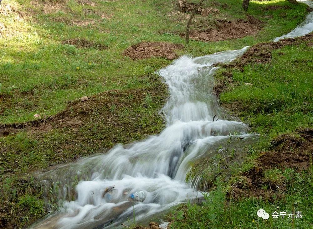 会宁南部一丛林惊现一股清泉