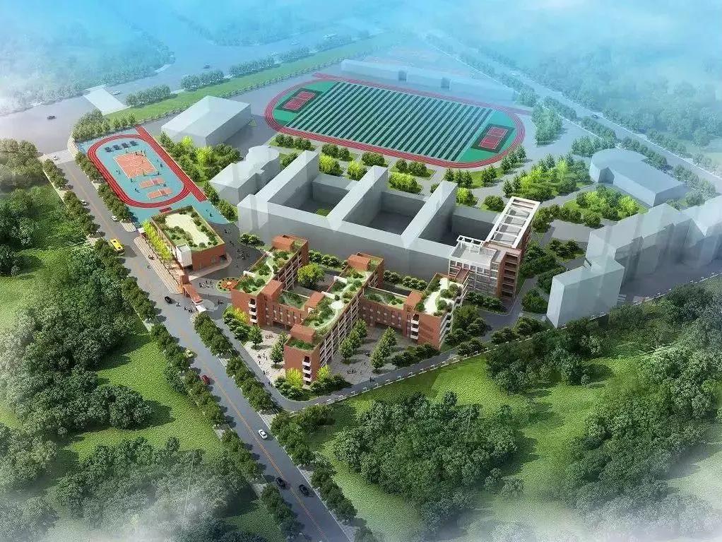 每个郫筒二小毕业的都是在石牛公园耍大的