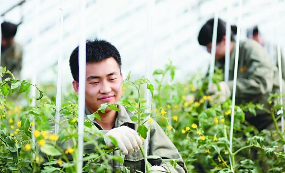 毕业季大学生返乡创业可行不可行以下7点要注意