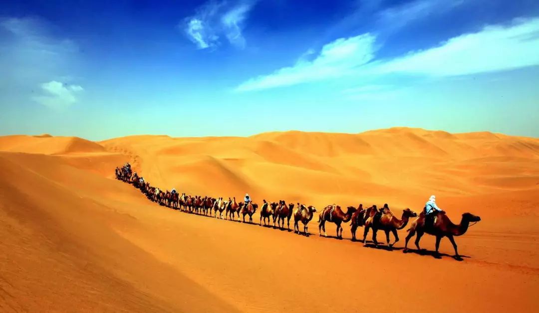 我在莫高窟修文物重走千年丝绸之路亲历美景历史碰撞