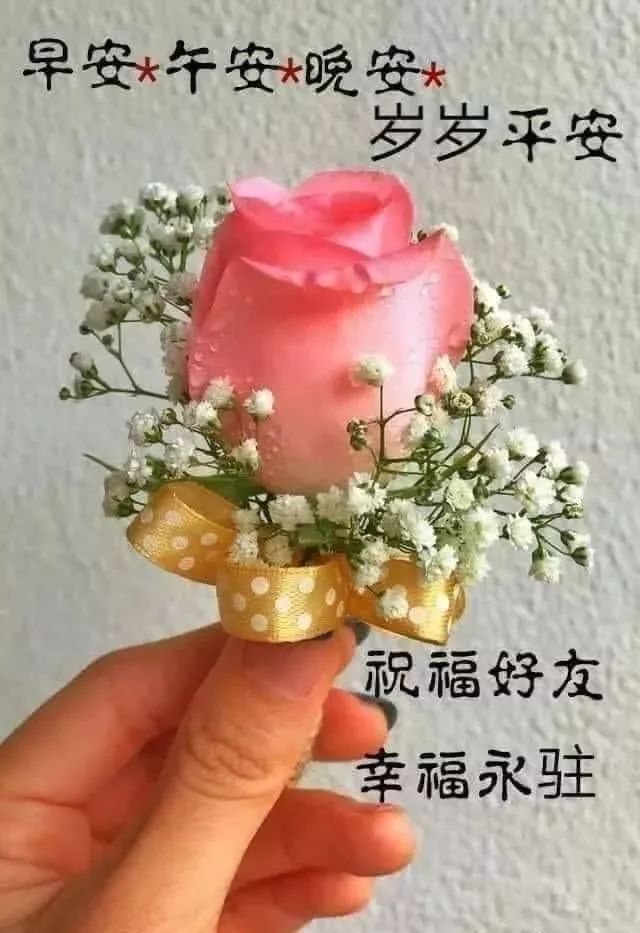 再美好也禁不住遗忘,再悲伤也抵不过回忆.