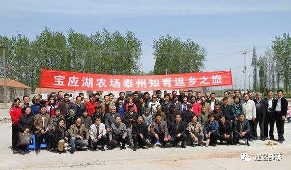陈忠友|宝应湖,不应该忘记