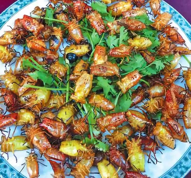 重口味广东人食炸白蚁天真我们连蠄蚷禾虫蚕蛹都吃