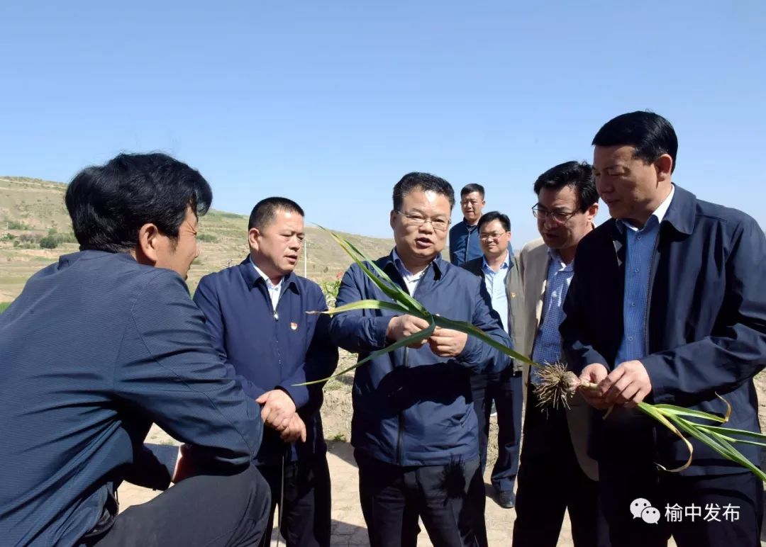 冯月旺,刘学强一行来到地头,仔细了解大蒜种植情况.