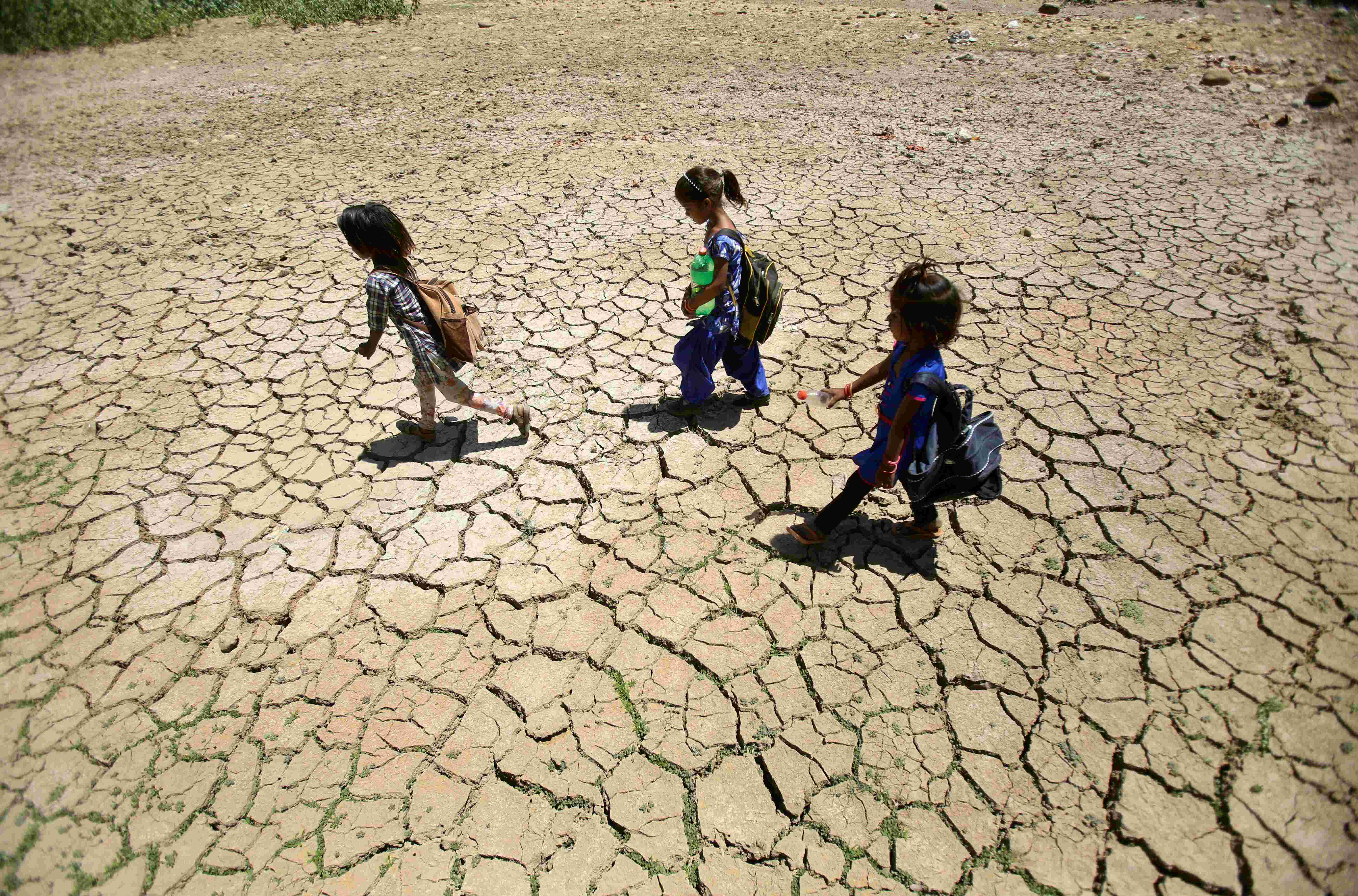 印度旱灾图片