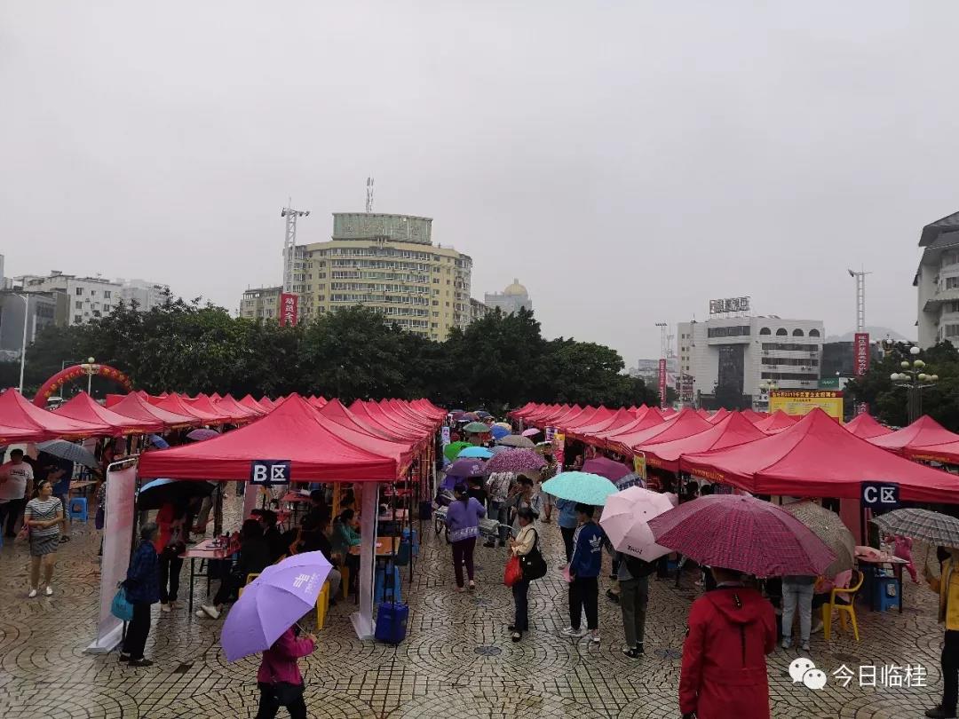 临桂区2019年民营企业招聘会在金山广场成功举行