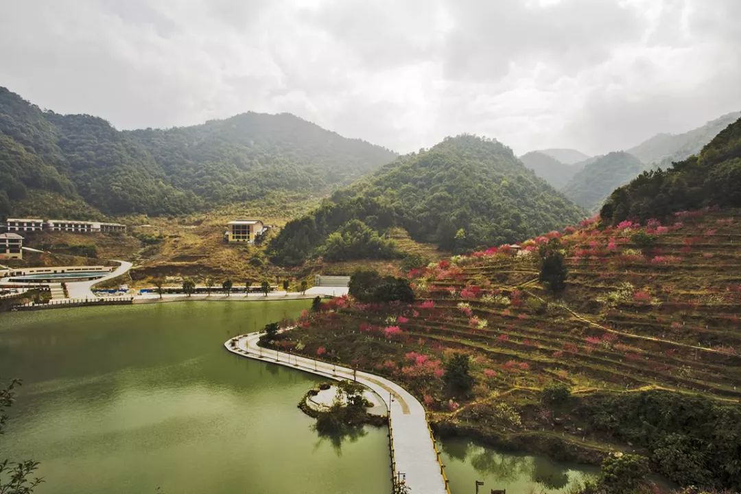 2019福建最美乡村入围村庄推介 永春北溪村_岵山镇