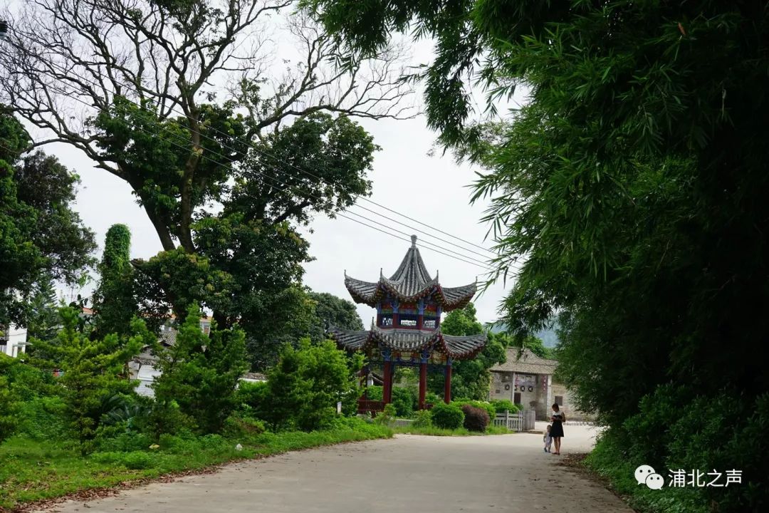 钦州这个村获授"国家级"名片,看看是不是你家乡?_浦北县