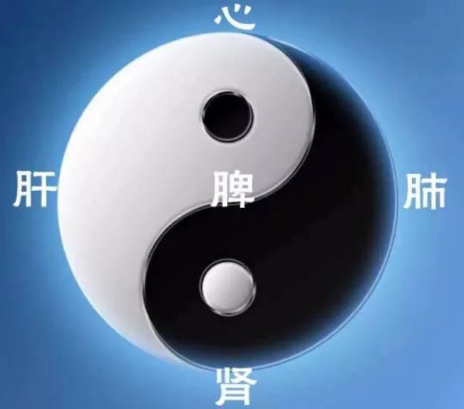 为什么我们从来没有买过南北