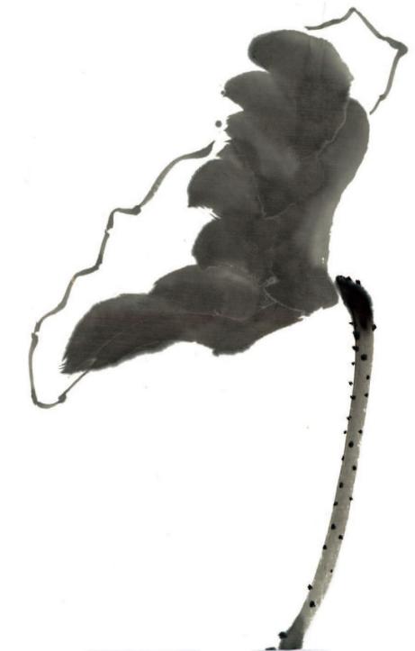 国画荷叶正叶侧叶枯叶等形态的画法