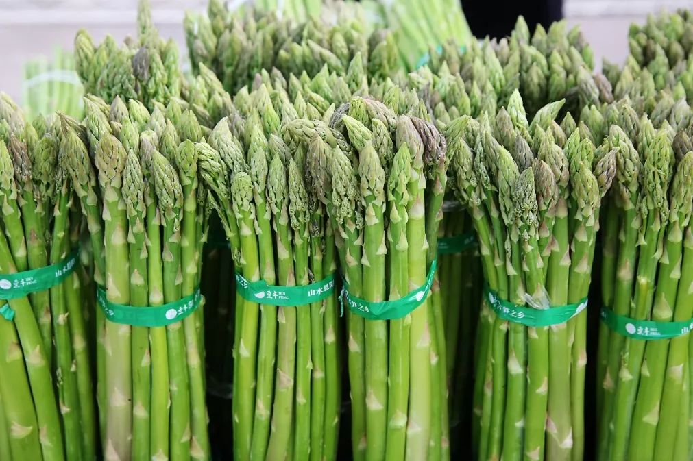 一口恩阳芦笋防癌护心不用愁
