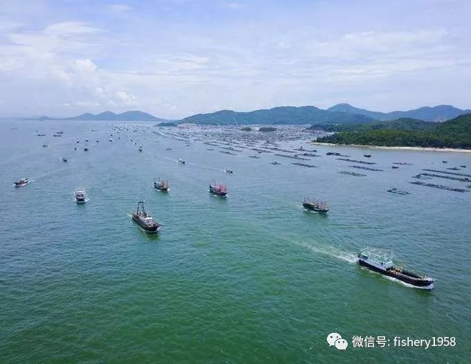 旅游渔业助力渔业振兴首届渔业渔村振兴论坛聚焦渔业现代化