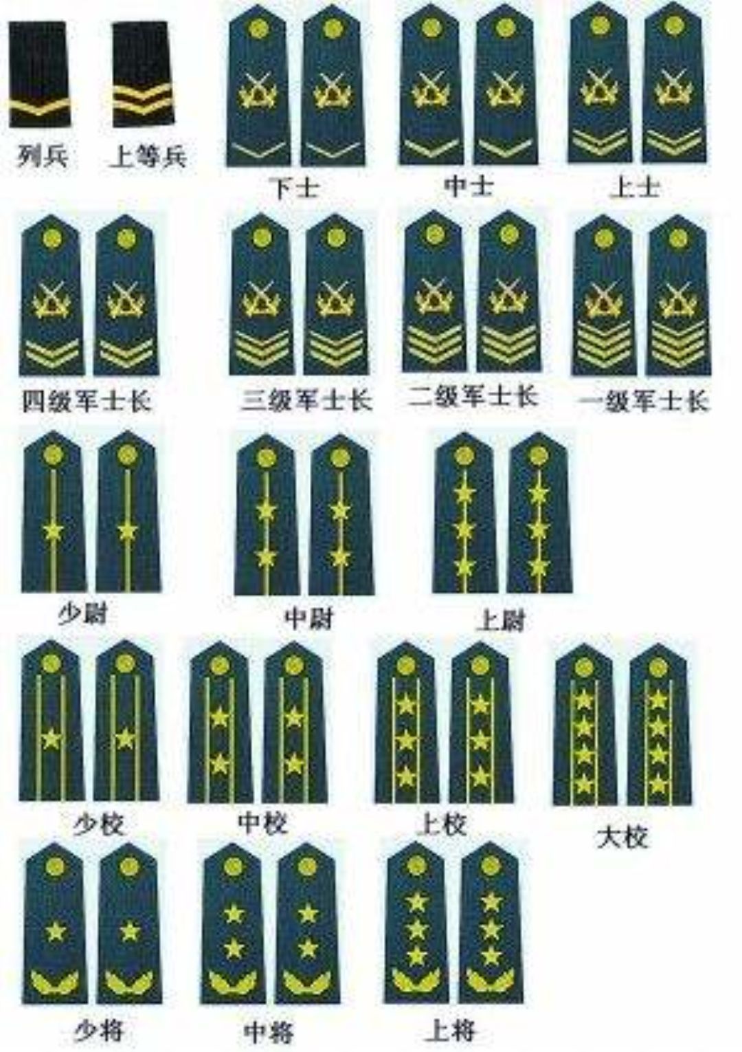 中国的军衔资历牌标志图片