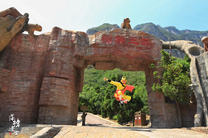 河南有一座猴山漫山都是猴子被称为猕猴王国游人乐园