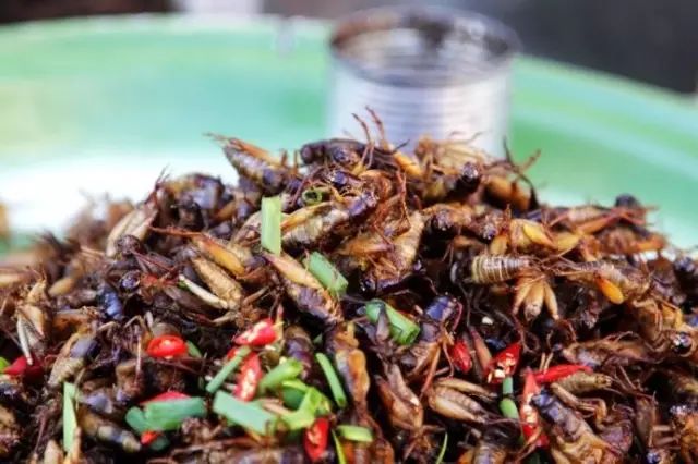 【暑假自由行】初遇柬埔寨,我好像掉进了美食海里