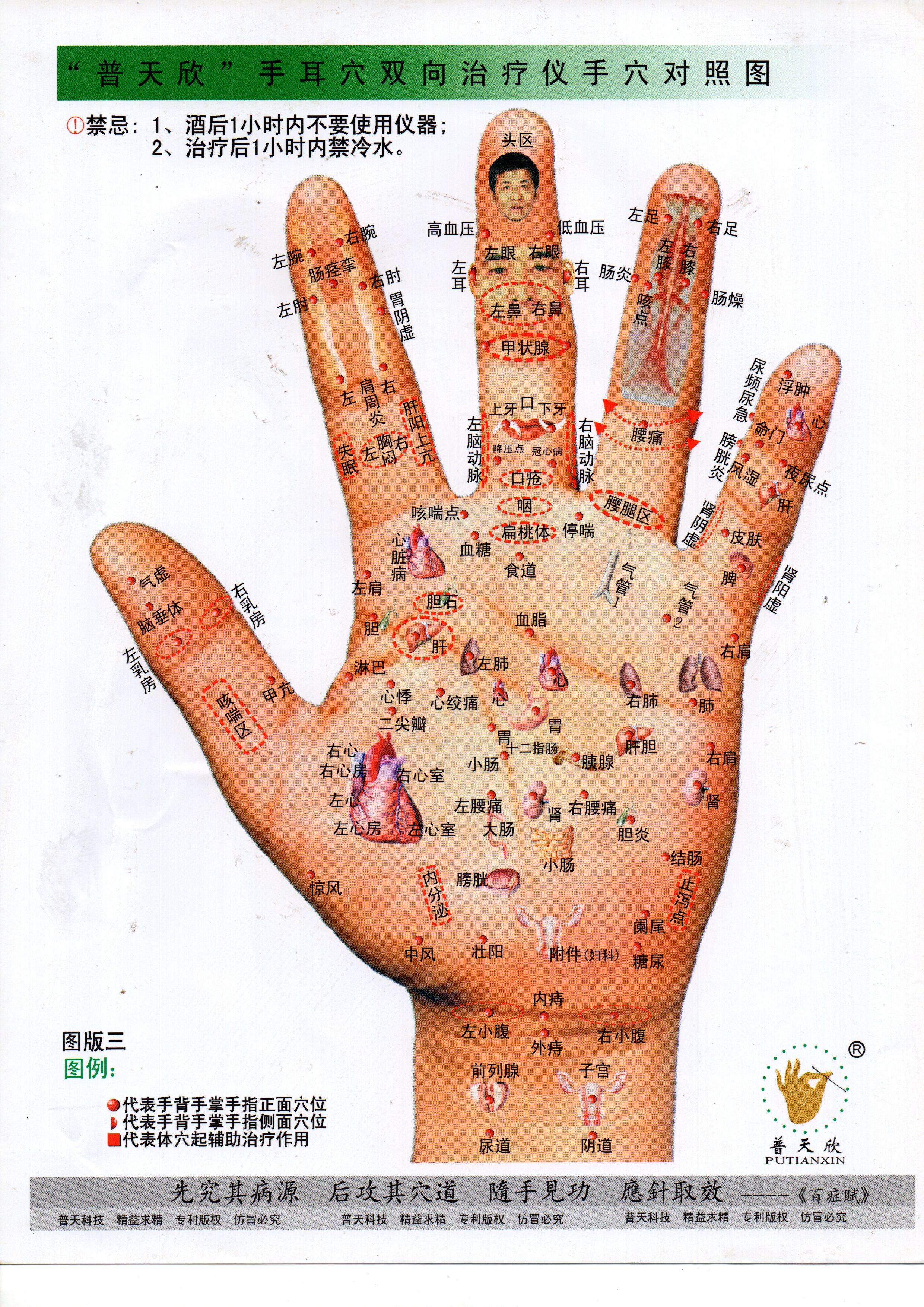 普天欣手诊电疗法——胆囊炎营养补充食疗法