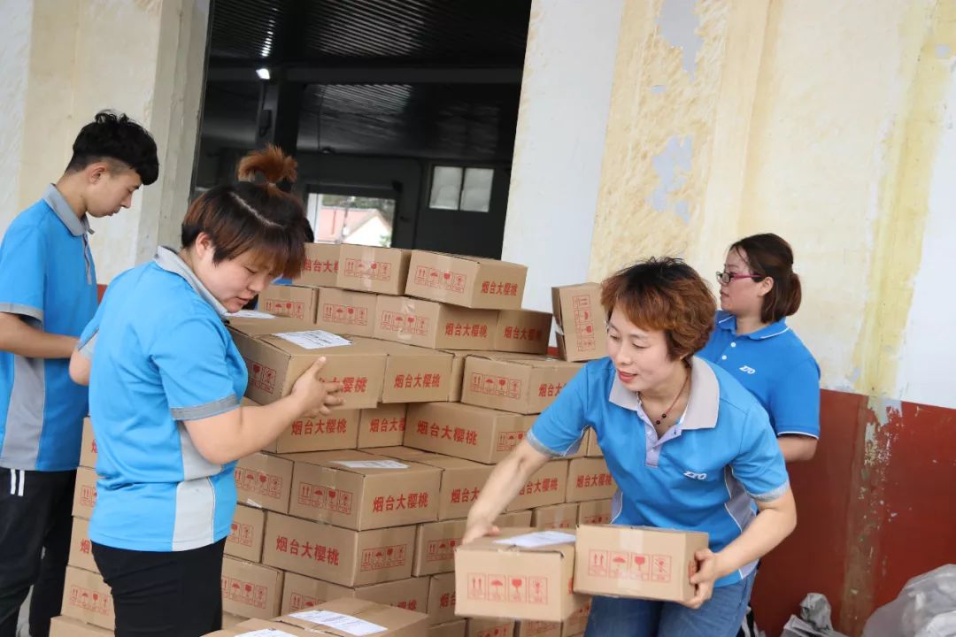 為能將煙臺櫻桃新鮮完好地運送至全國各地,中通快遞山東省管理中心和