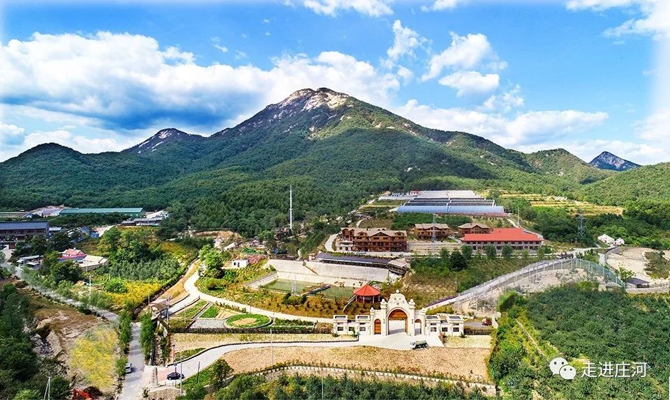 忘了ta吧,2019我在庄河竹庭庄园等你!