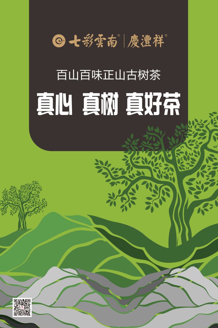 端午茶至,盛京飘香 | 七彩云南03与您相约沈阳茶博会