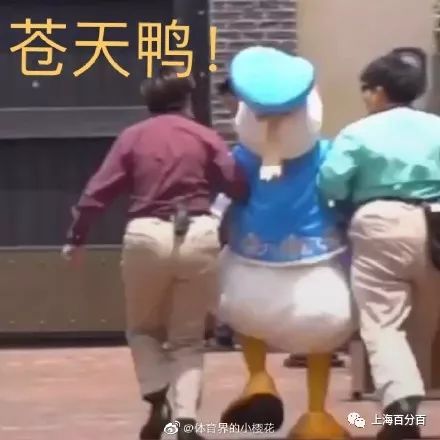 唐老鸭85岁生日,上海迪士尼上演赶鸭子上架,哈哈哈哈心疼鸭鸭!
