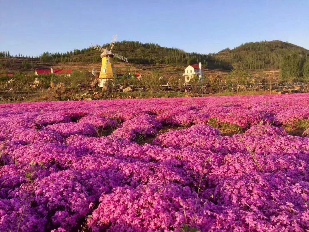 国家级田园综合体朱家林