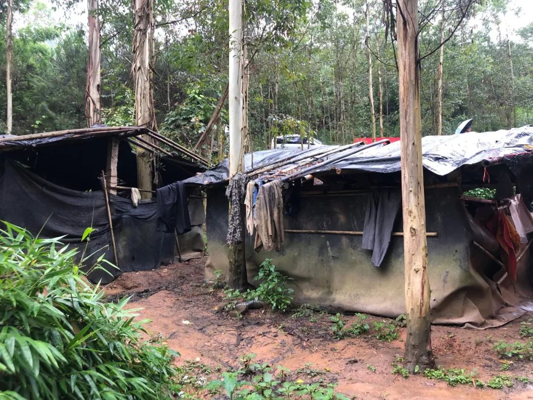 岑溪爱心人士探访糯垌一小伙子怪病长大象腿肤如鳞甲还掉粉