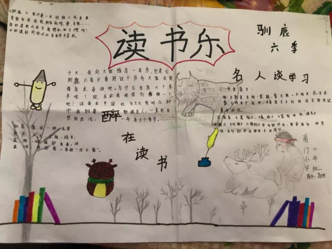 学校:湖南省耒阳市芭蕉完小班级:三年级作者:王欢书名:《孤岛野犬》4