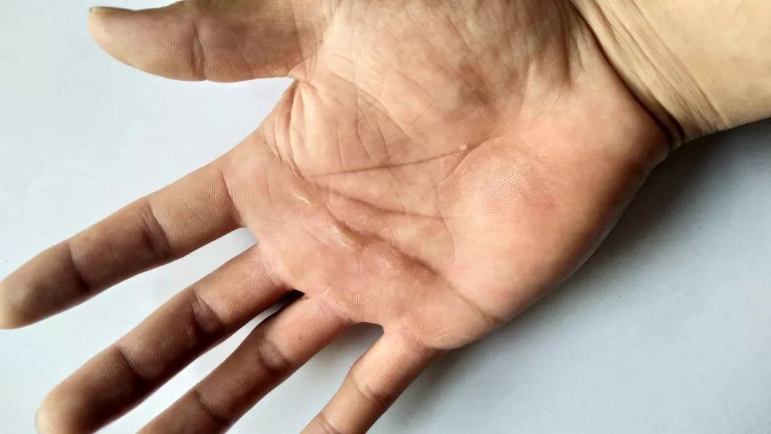 我校建筑专业第二金江涛张宇勇夺国赛金牌