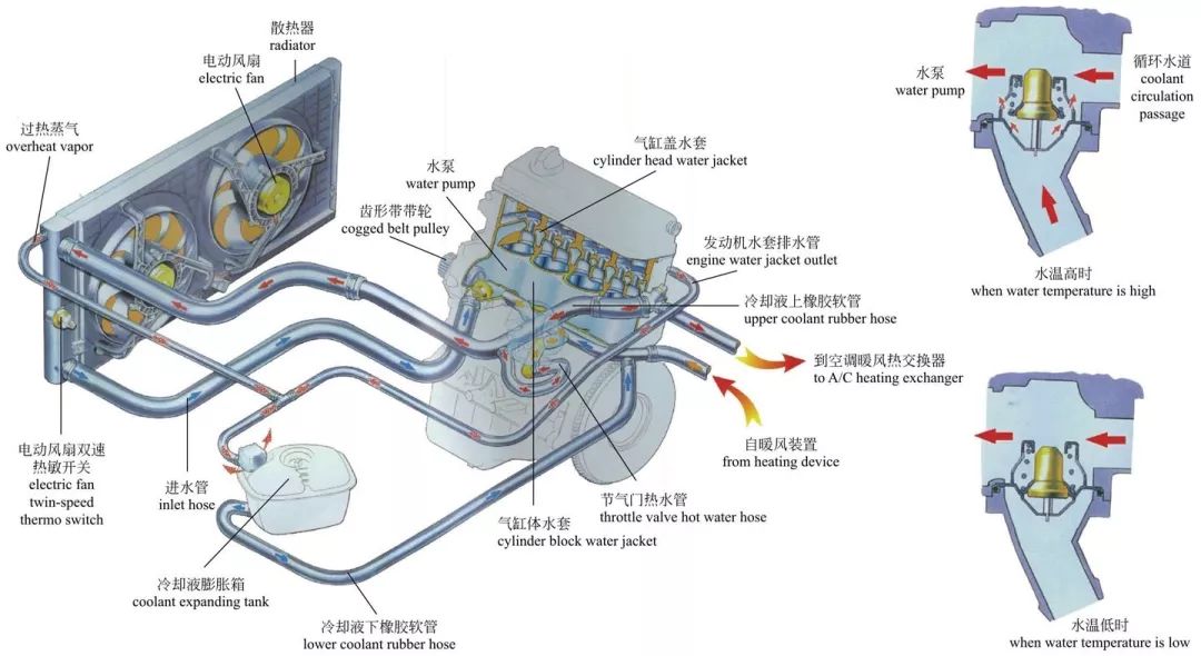 暖风水箱解剖图图片