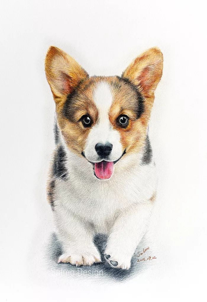 02今日游戏让宝宝认识动物,发展听音能力,模仿动物叫声发展语言模仿