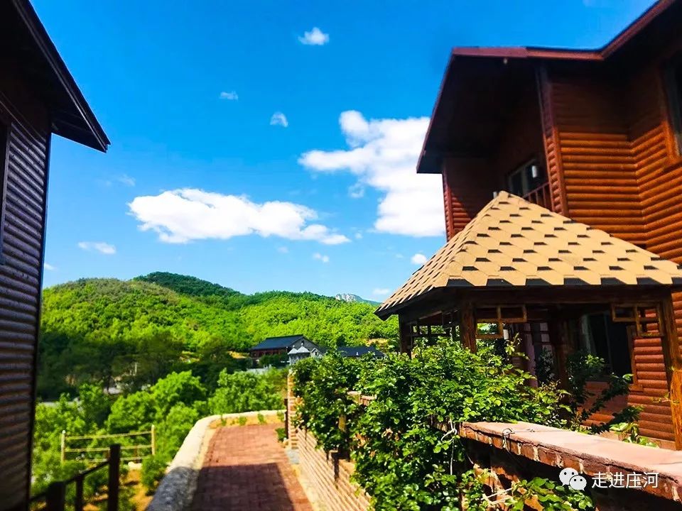 忘了ta吧2019我在庄河竹庭庄园等你