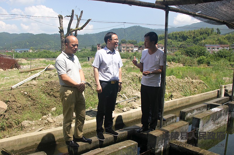 县领导杨红兵参加.
