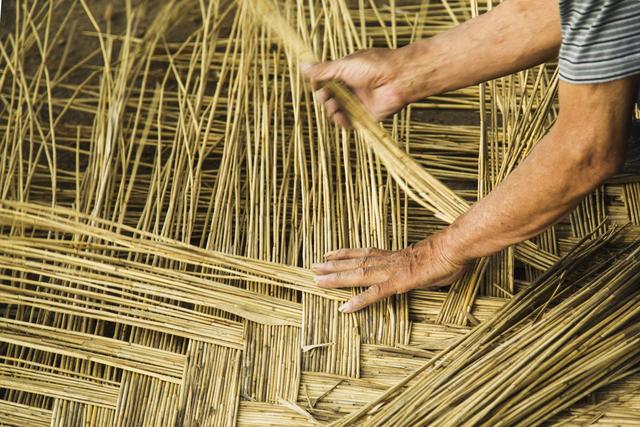 【纪实影像】即将消失的老行当— —编笆_芦苇