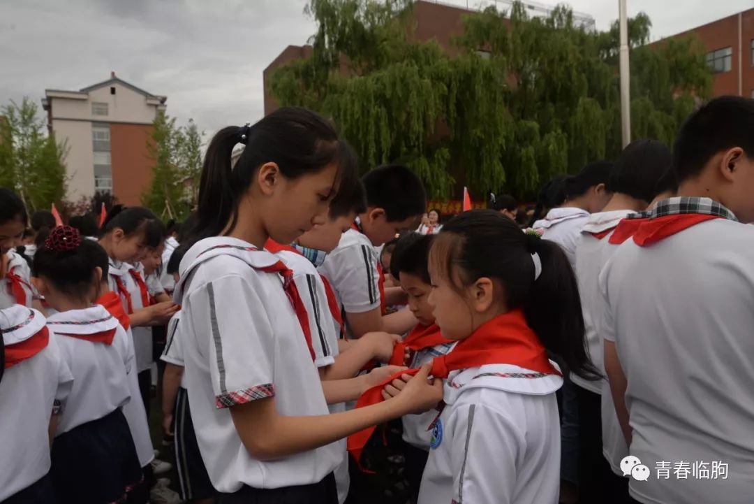 臨朐中學附屬小學朐陽學校外國語學校雙語學校文昌小學冶源小學石家河