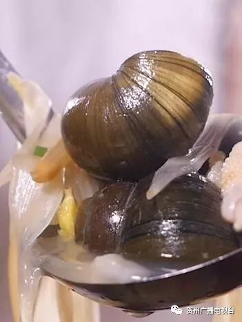 煲螺,也有人说是炒粉,还有人说是筒骨粥,或者有人说是椒盐鸭嘴