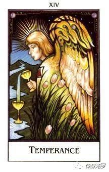 栾叔塔罗牌占卜爱神保佑相思不减有望战胜困境你会和ta复合吗