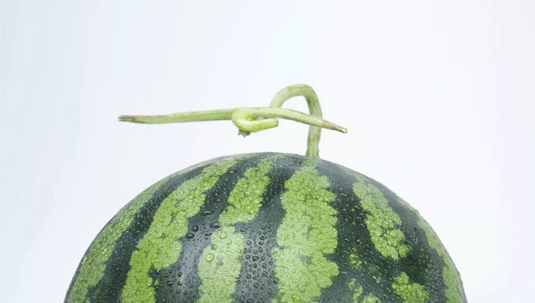 挑西瓜时别再用手拍了,教你个方法,保证皮薄汁多还很甜!