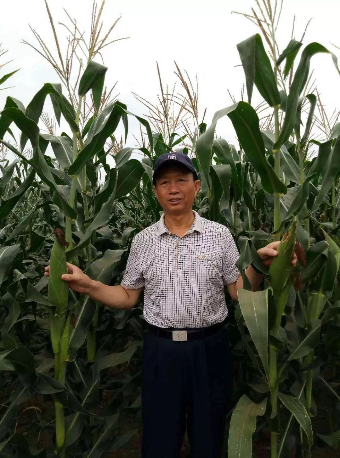 作者简介:武秀清,原籍河北交河县,1976年12月入伍到