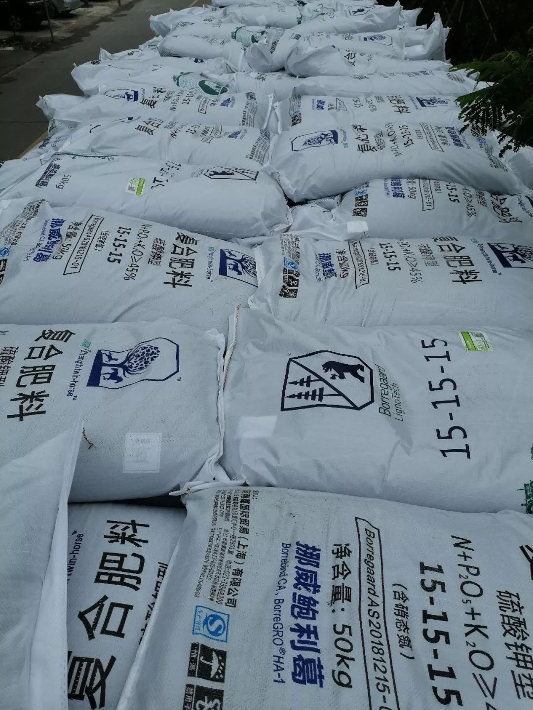 挪威鲍利葛公司在中国进行了为期一年的深度考察,最终选定与瑞丰生态