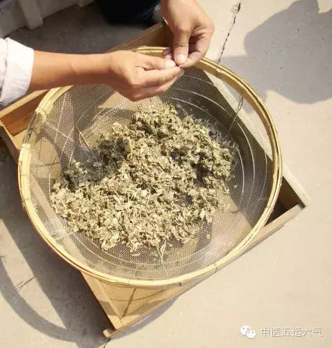 放心如何自己制作艾绒艾条