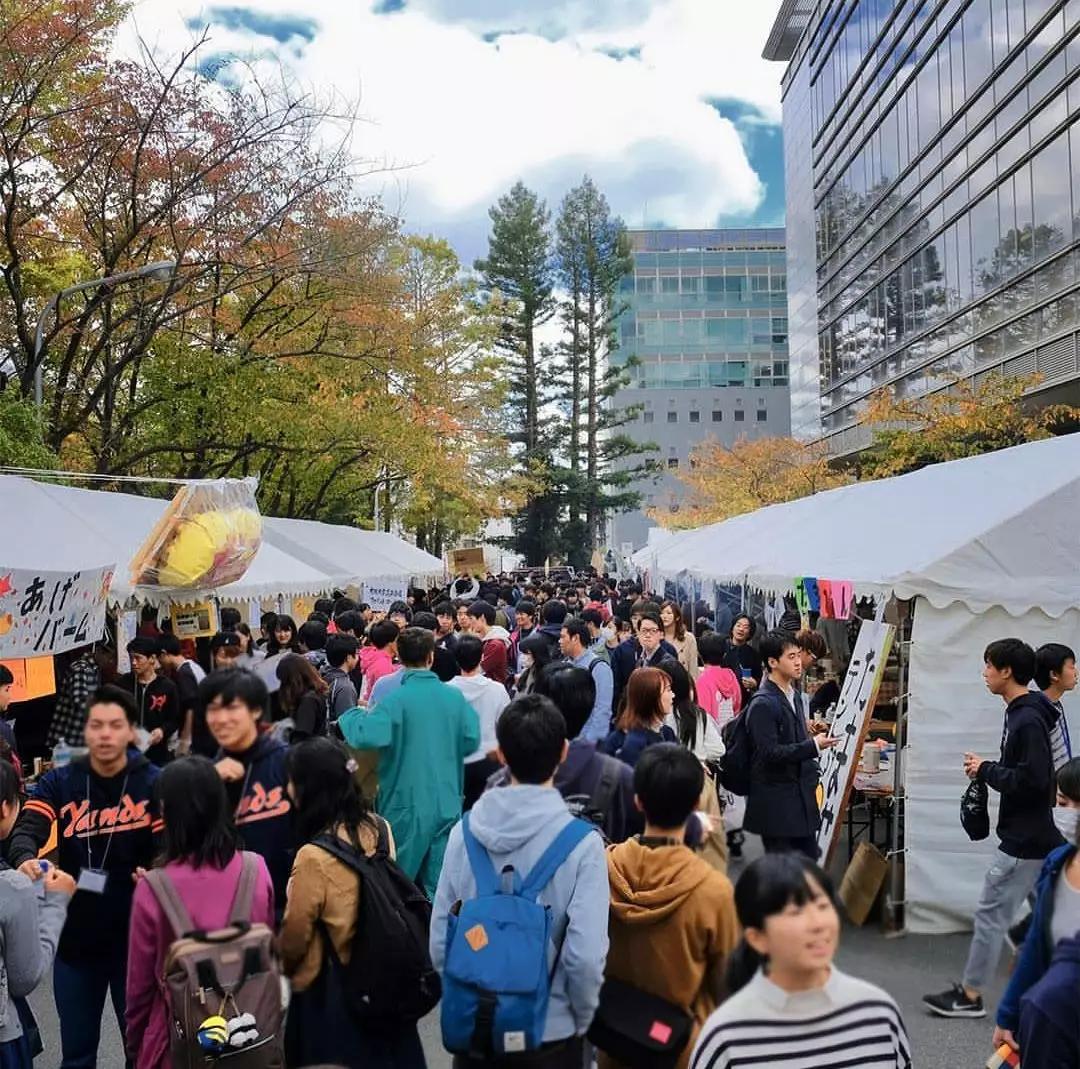 风俗学院学园祭图片