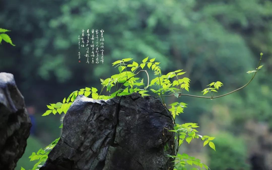 百草讲堂时辰养生在天地轮转的自然规律中循序养生