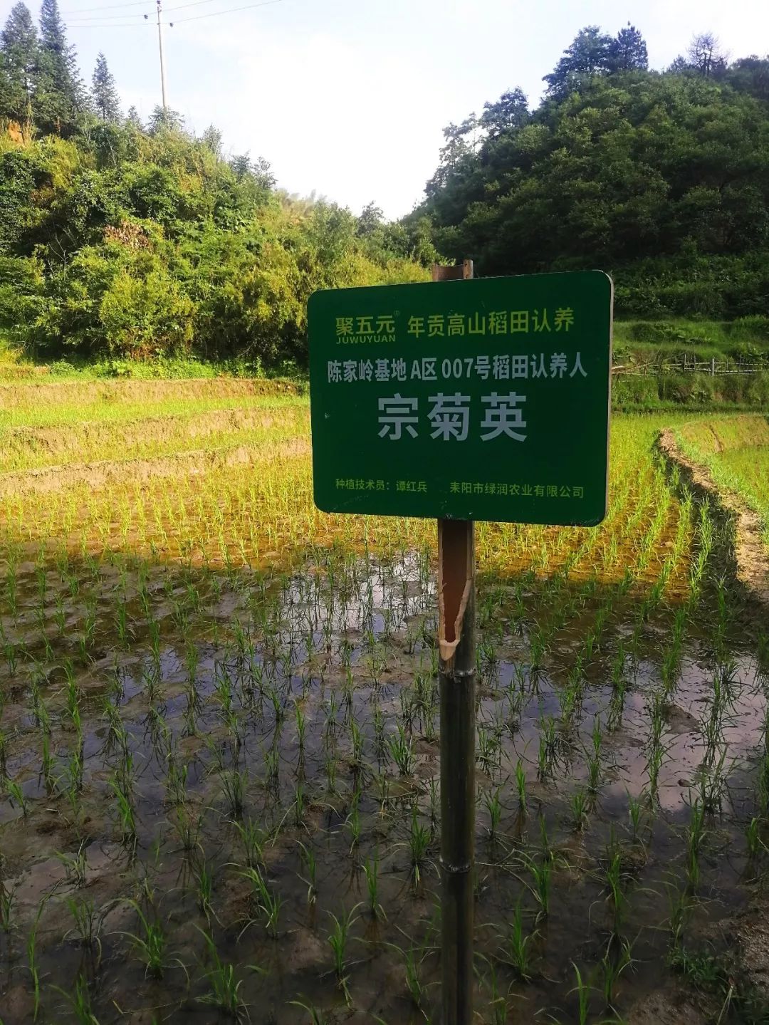 乐爆了!这几十个家庭在耒阳最高峰的绝妙体验