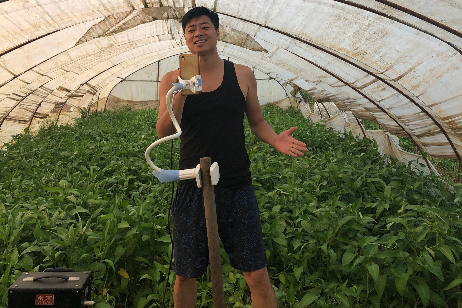 这个端午相约苏州双大齐来助兴都挺好