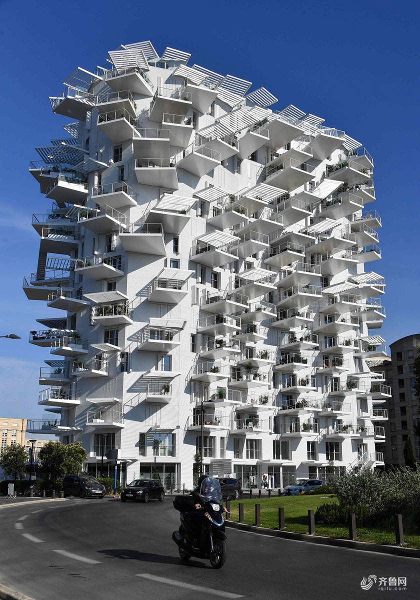 日法建筑师联合设计不规则住宅 外观造型清奇独特