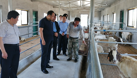 县长王飞深入甘井镇马坊镇检查指导脱贫攻坚工作