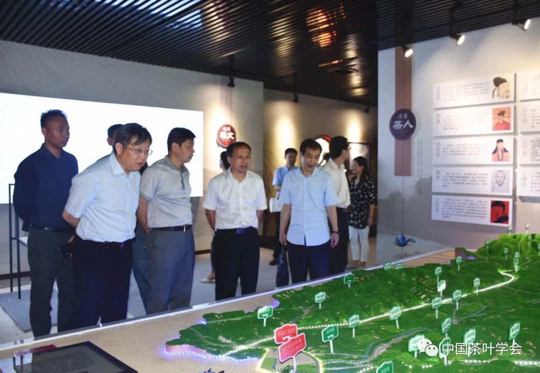中国茶叶学会专家齐聚景德镇助力浮梁茶产业高质量发展