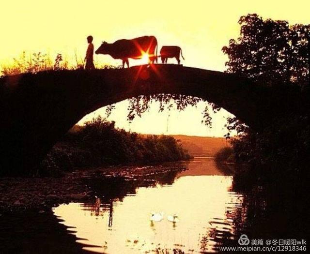 惆怅都随晚风飘散遗忘在乡间的小路上走在乡间的小路上牧童的歌声在