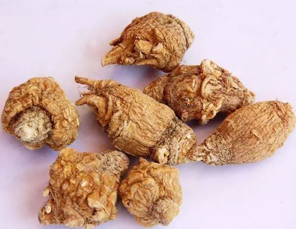 国珍玛咖千锤百炼之后的精品玛咖能补充钙铁钾等元素